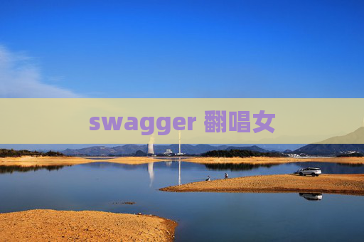 swagger 翻唱女